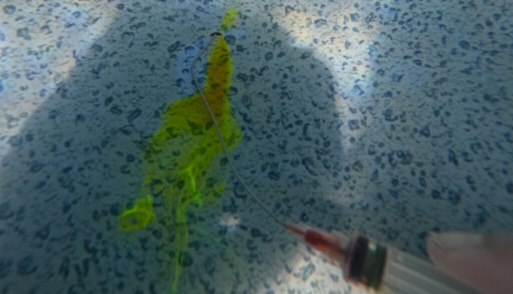 A pool leak detection technician using a dye test near a suspected vinyl liner leak to identify the exact location of water loss.