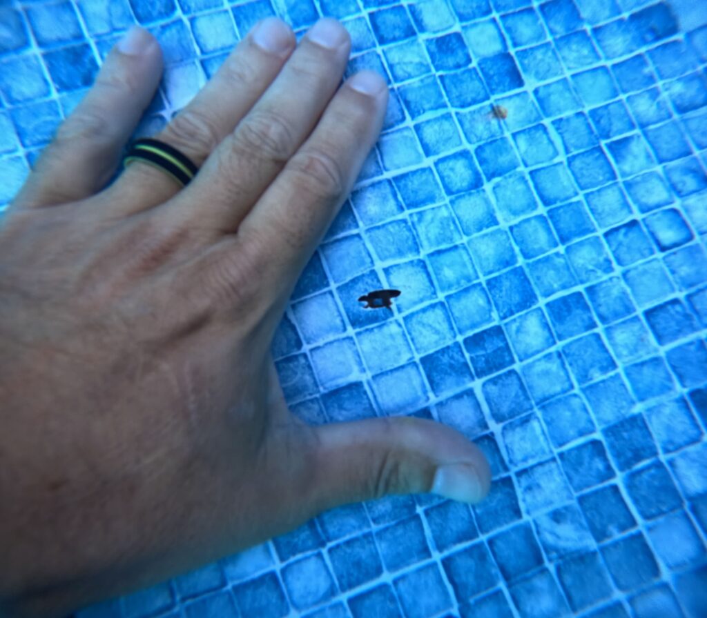 Close-up of a small vinyl liner pinhole leak underwater before repair, with water visibly escaping.