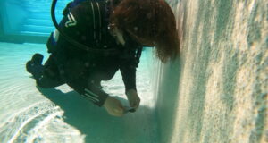 Pool leak detection technician performing visual survey in SCUBA gear at a residential pool equipment pad — professional leak detection in progress