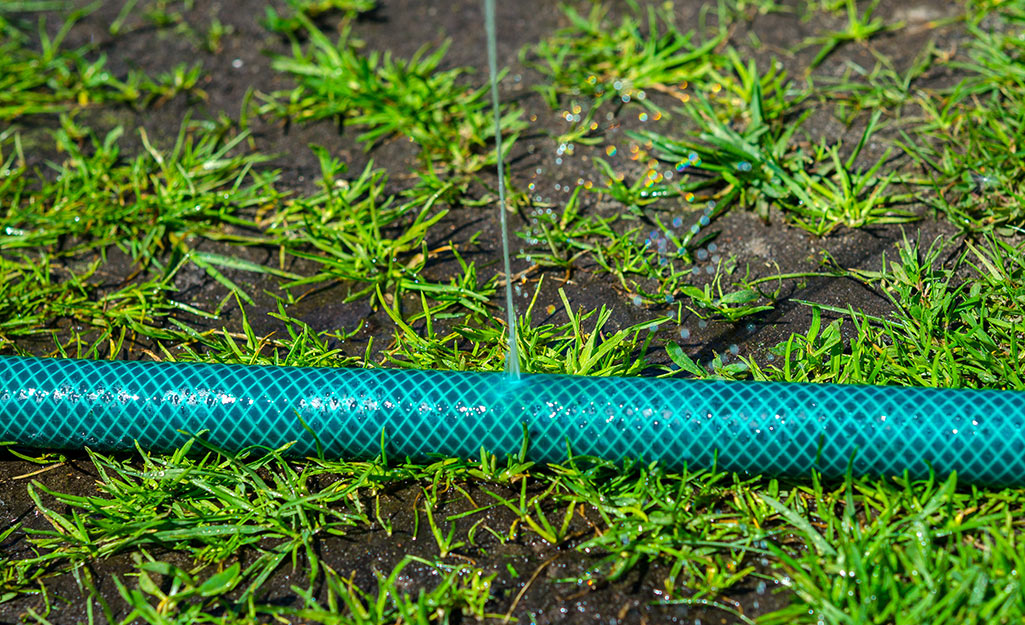 A leaking garden hose with water spraying from a pinhole — illustrating how pressure-side pool plumbing leaks behave when the pump is running